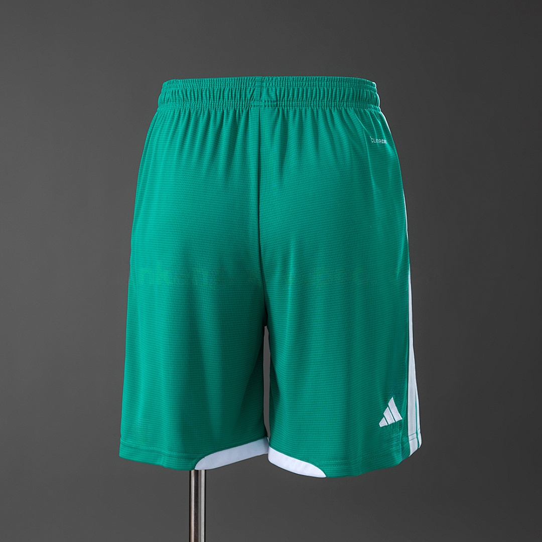Northern Ireland 2026 Home Shorts – Replica Football Soccer Shirt – S–XXL