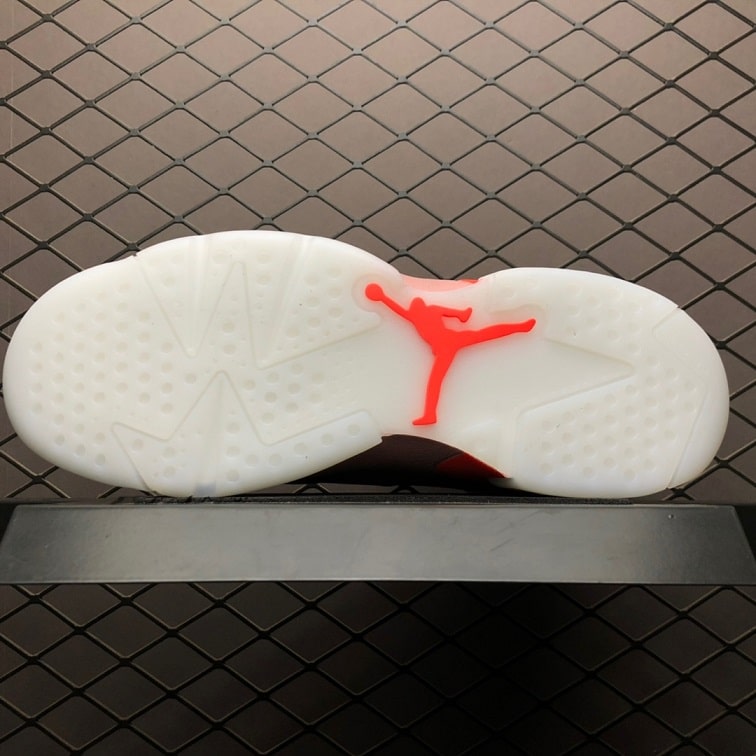 Air Jordan 6 Aleali May