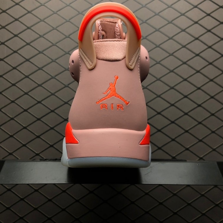 Air Jordan 6 Aleali May