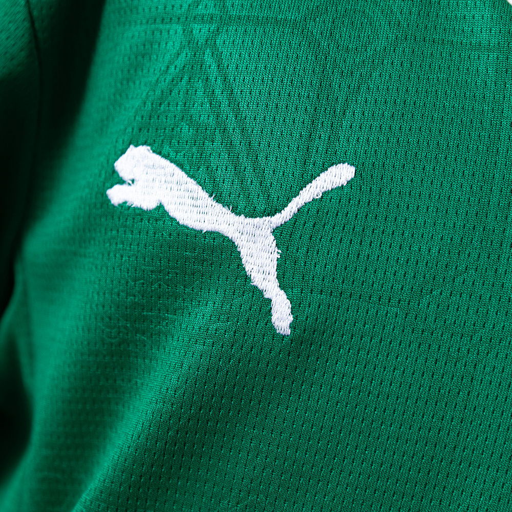 Palmeiras 25/26 Home Kids Kit Jersey – Replica Football Soccer Shirt – Size 16–28