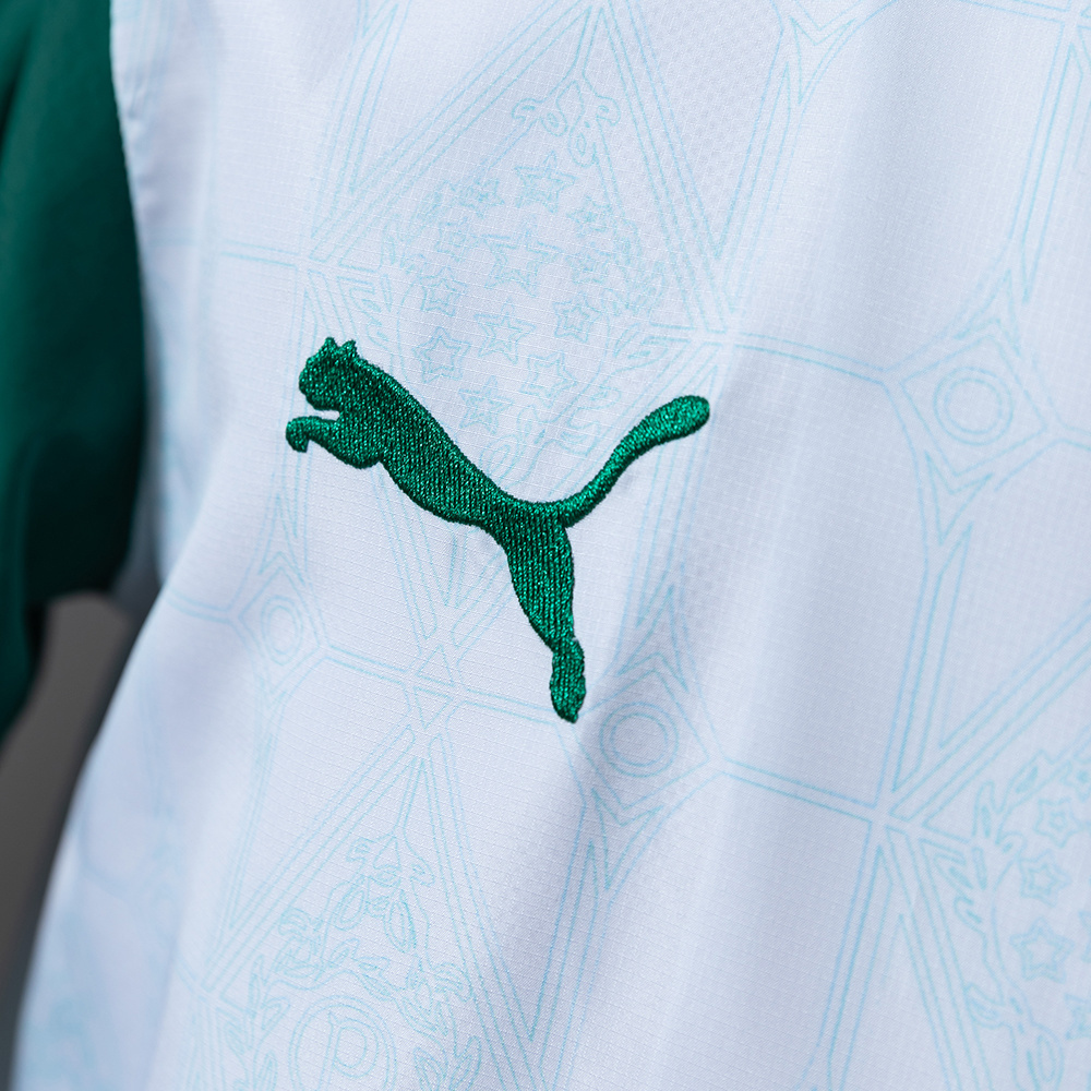 Palmeiras 25/26 Windbreaker S-XXL – Replica Football Soccer Outfit