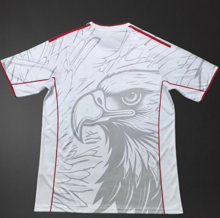 Benfica 25/26 Special Edition Jersey – Replica Football Soccer Shirt