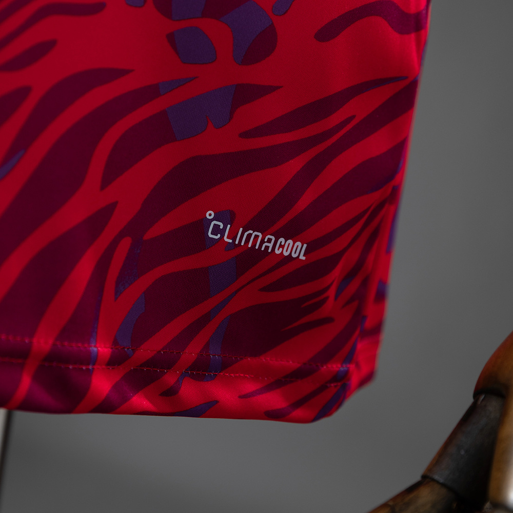 Costa Rica 2026 Home Jersey – Replica Football Soccer Shirt – S–4XL