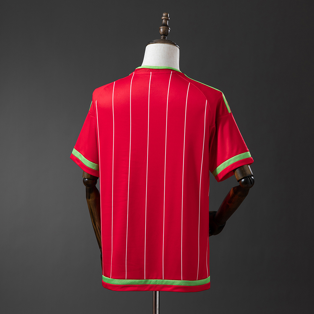 Wales 2015/16 Home Retro Jersey – Replica Football Soccer Shirt – S–XXL