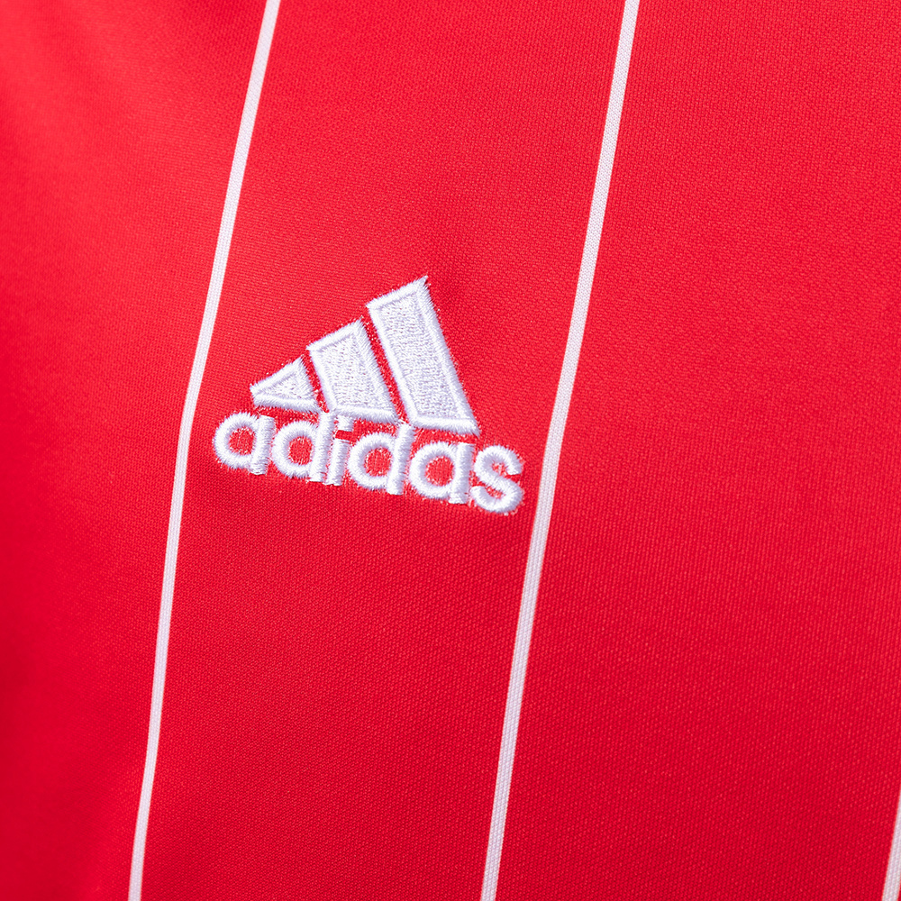 Wales 2015/16 Home Retro Jersey – Replica Football Soccer Shirt – S–XXL