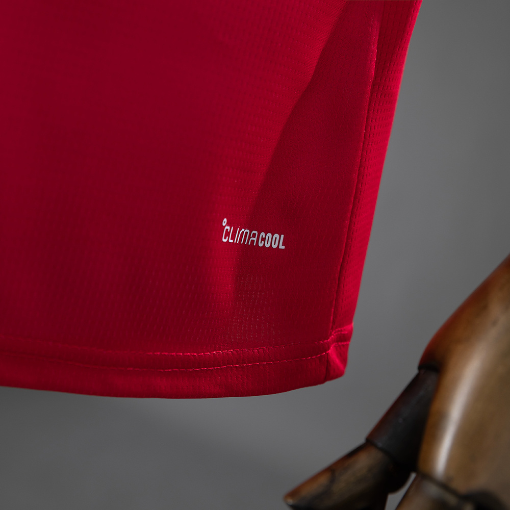 Wales 2026 Home Jersey – Replica Football Shirt – S–4XL