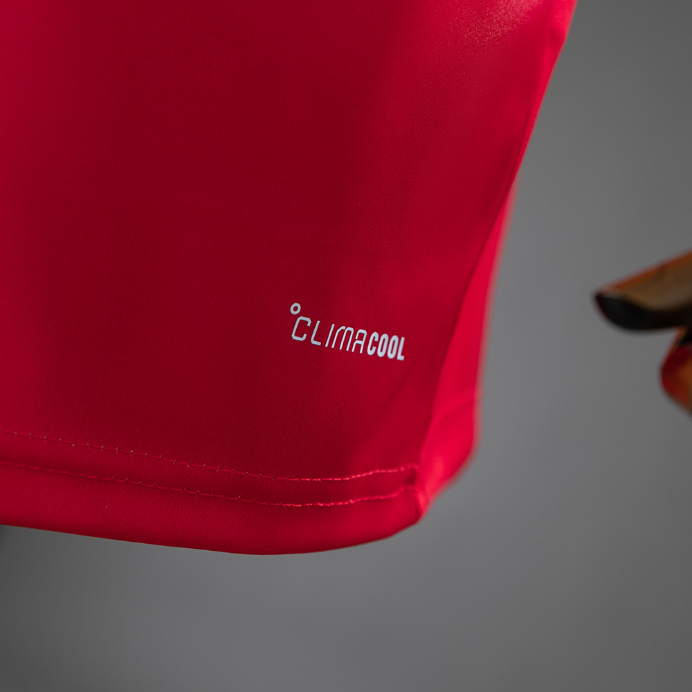 Wales 2026 Home Kids Kit Jersey – Replica Football Shirt – Size 16–28