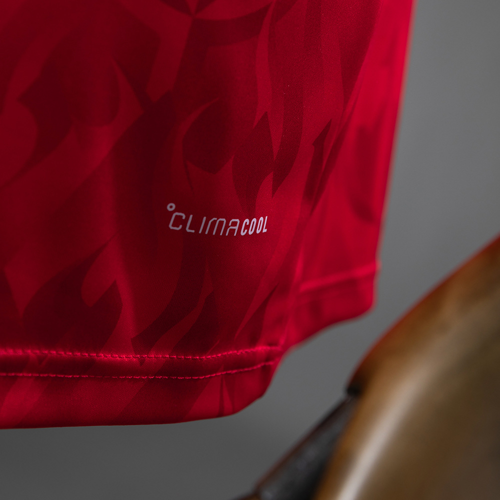 Belgium 2026 Home Jersey – Replica Football Shirt – S–4XL