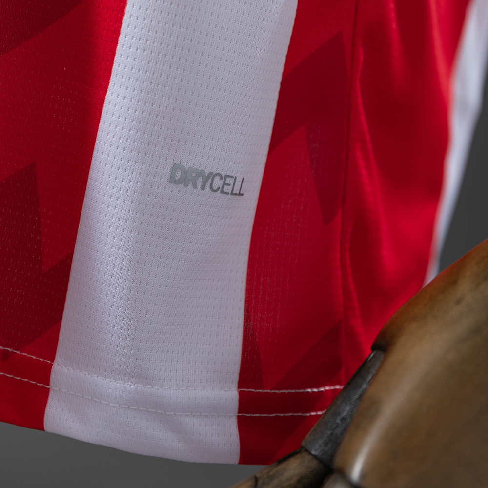 PSV 25/26 Home Jersey – Modern Football Shirt – S–4XL