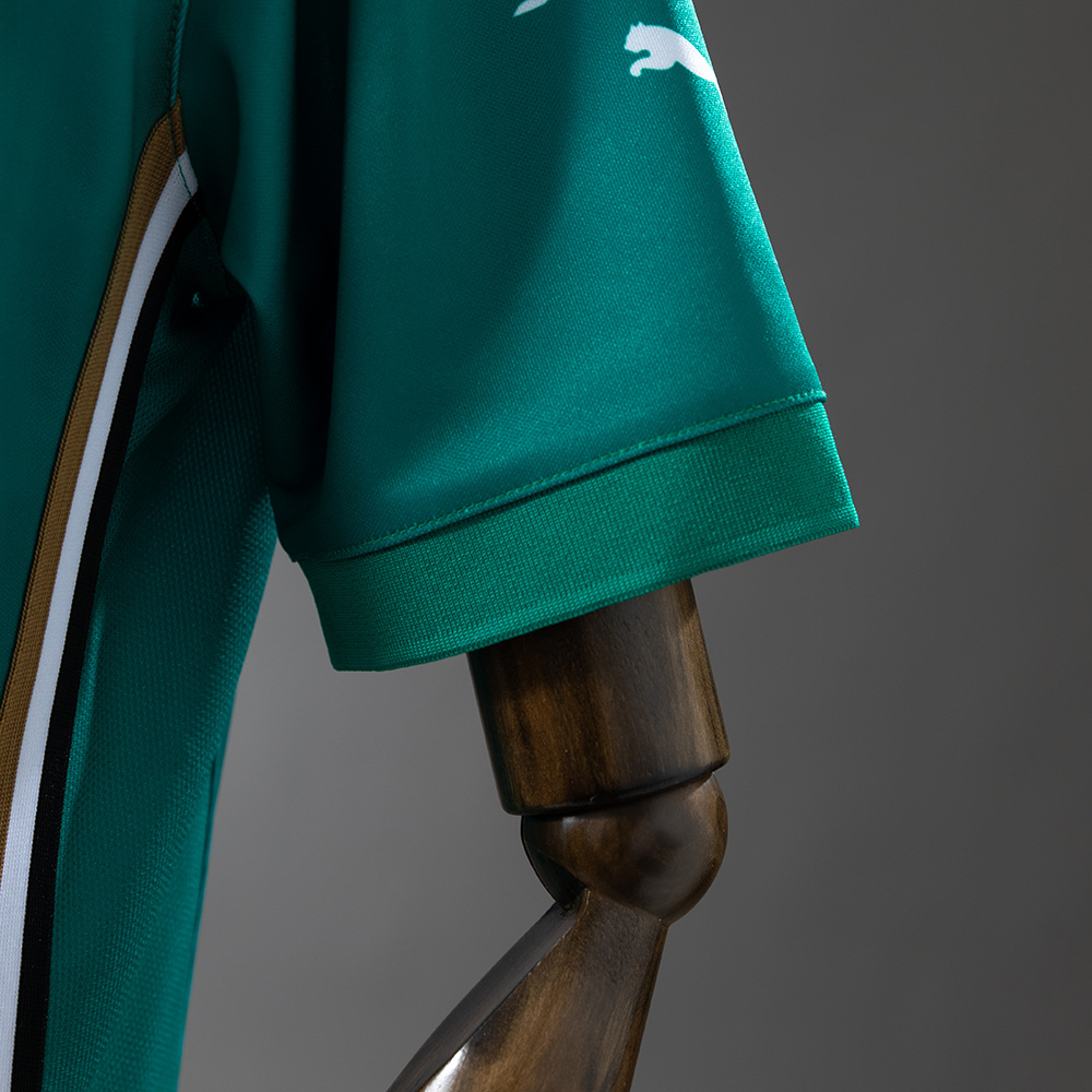 Aston Martin F1 Team 2025 F1 Racing Suit POLO – Motorsport Shirt – S–5XL