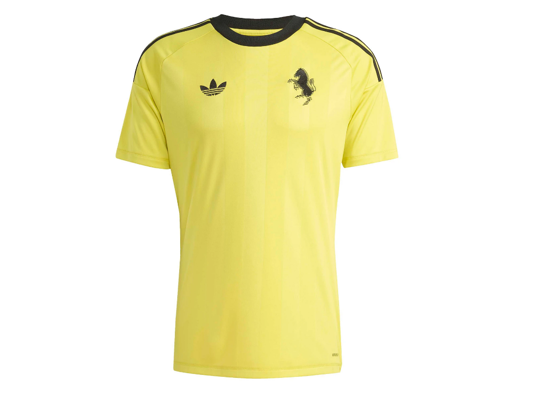 Juventus  2025/26  Goalkeeper (third)